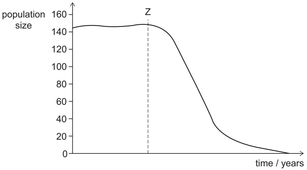 Exam diagram