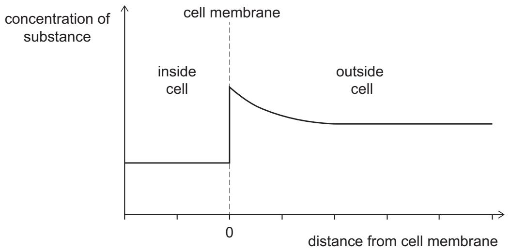 Exam diagram