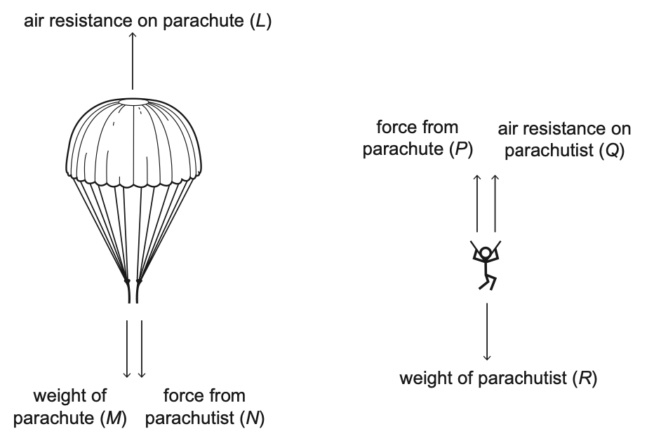 Exam diagram