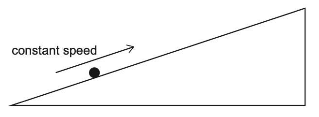 Exam diagram
