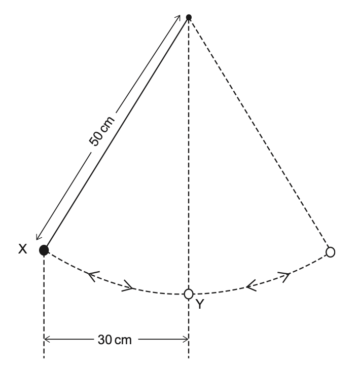 Exam diagram