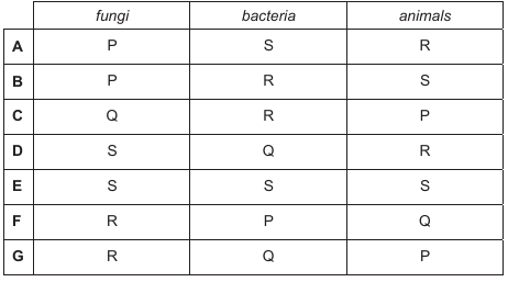 Exam diagram