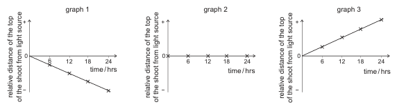 Exam diagram