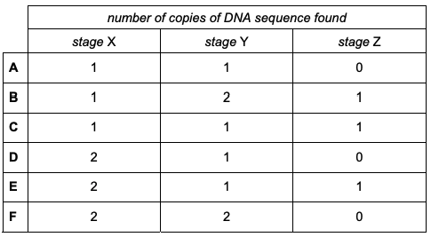 Exam diagram