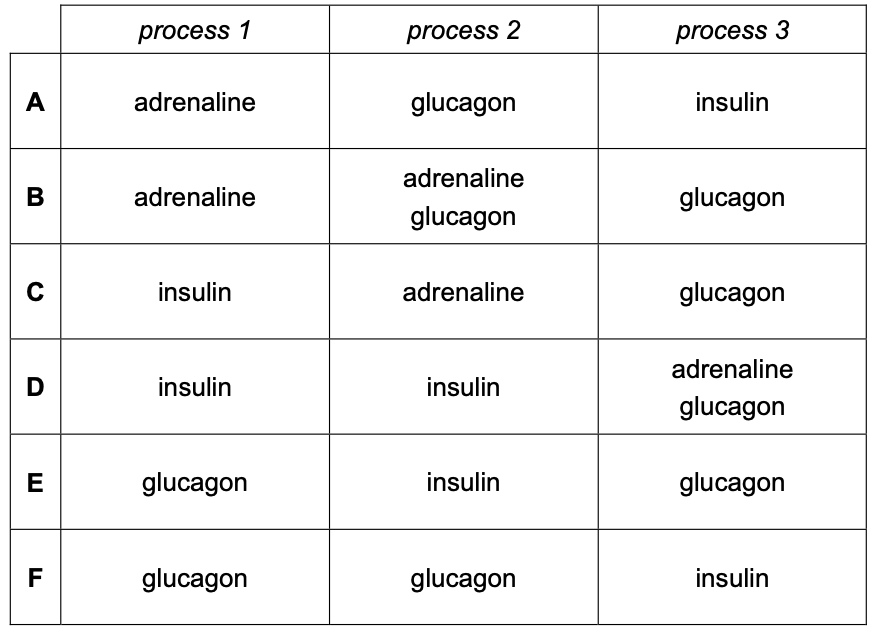 Exam diagram