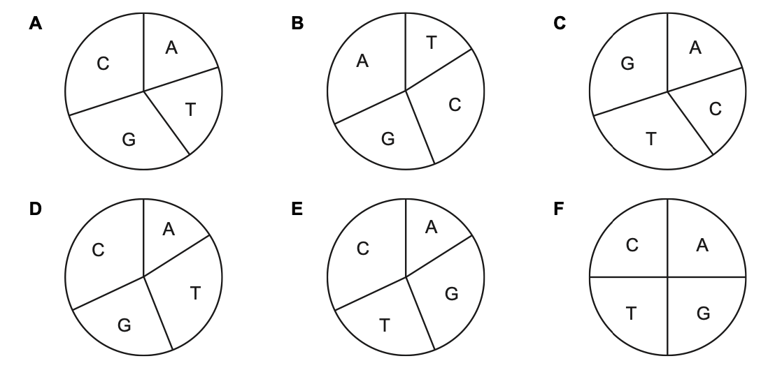 Exam diagram