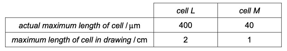 Exam diagram