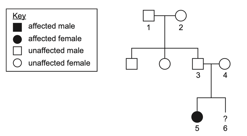 Exam diagram