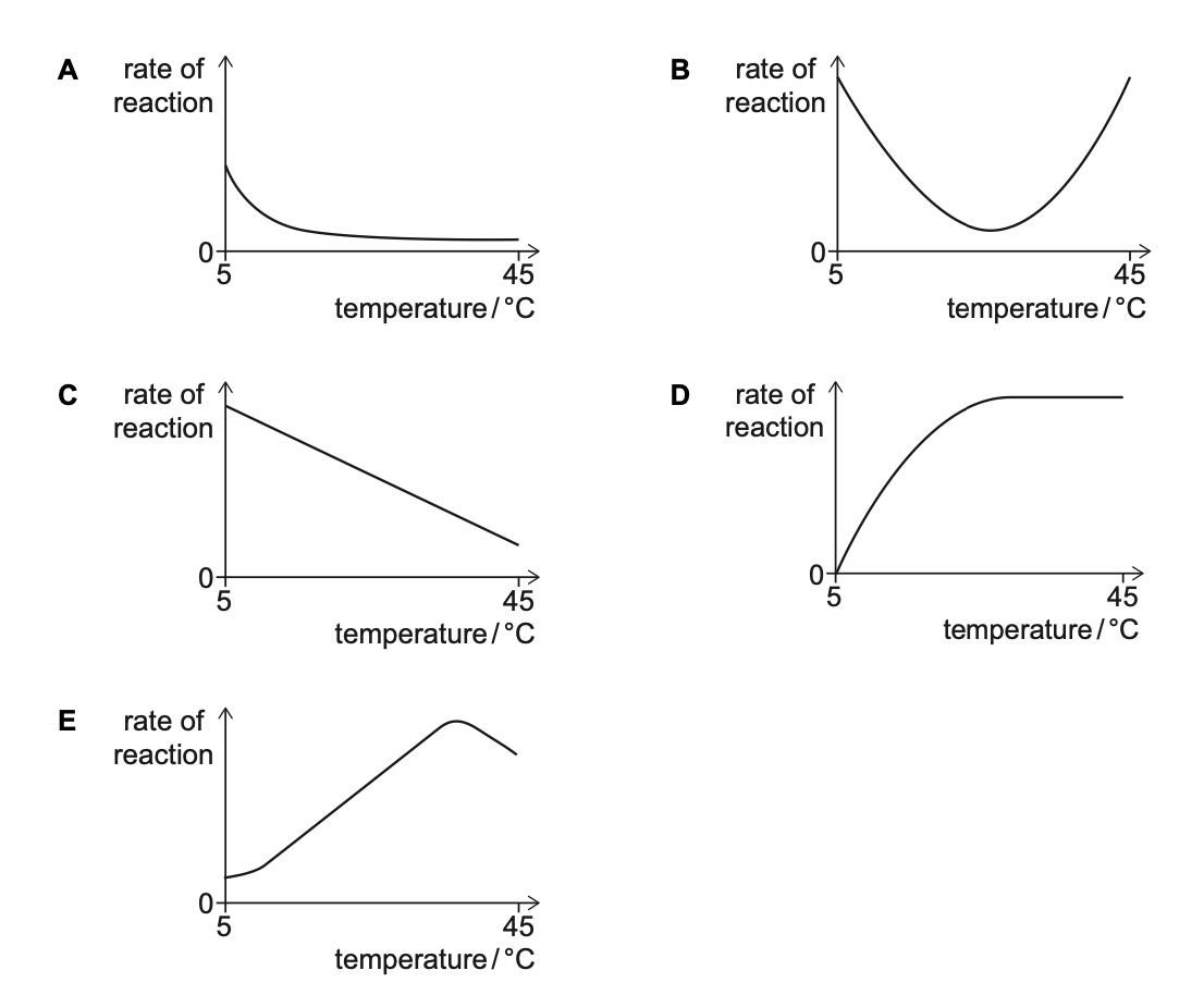 Exam diagram
