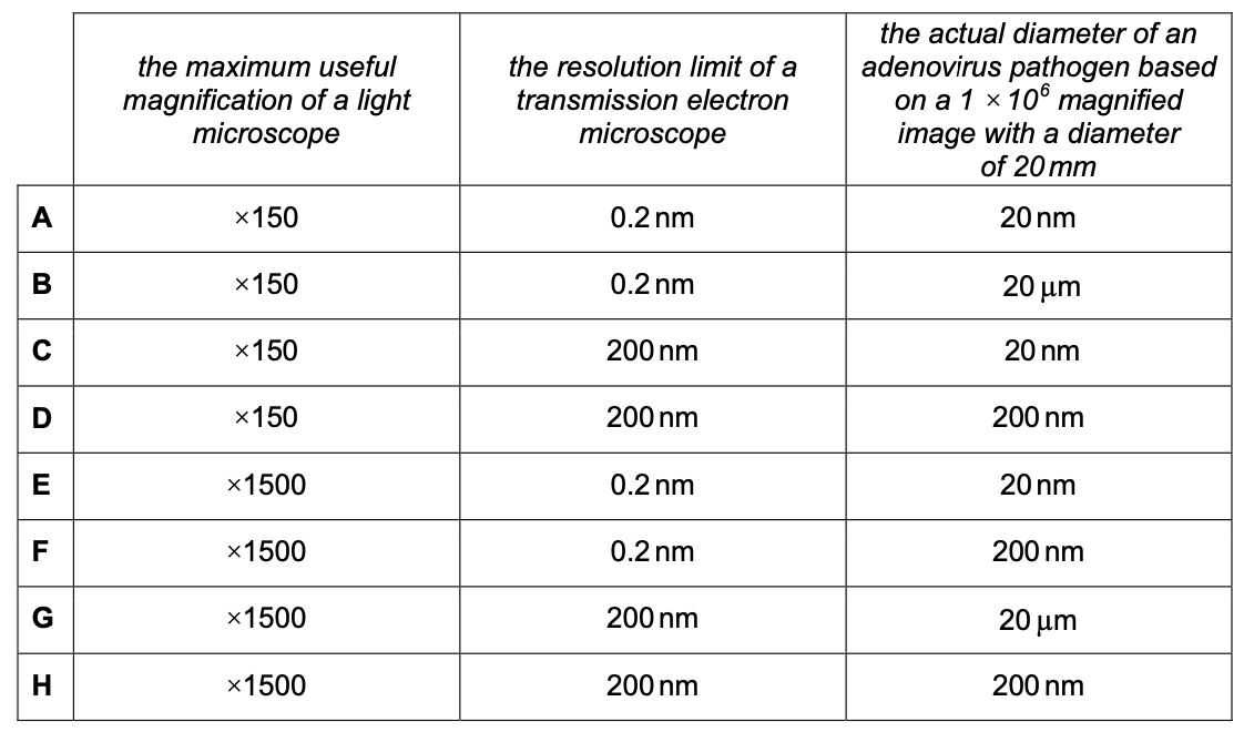 Exam diagram
