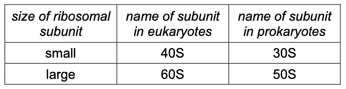 Exam diagram
