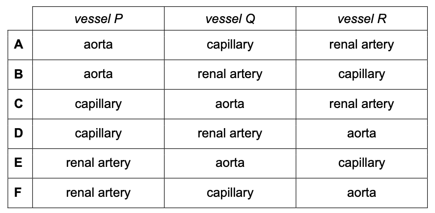 Exam diagram