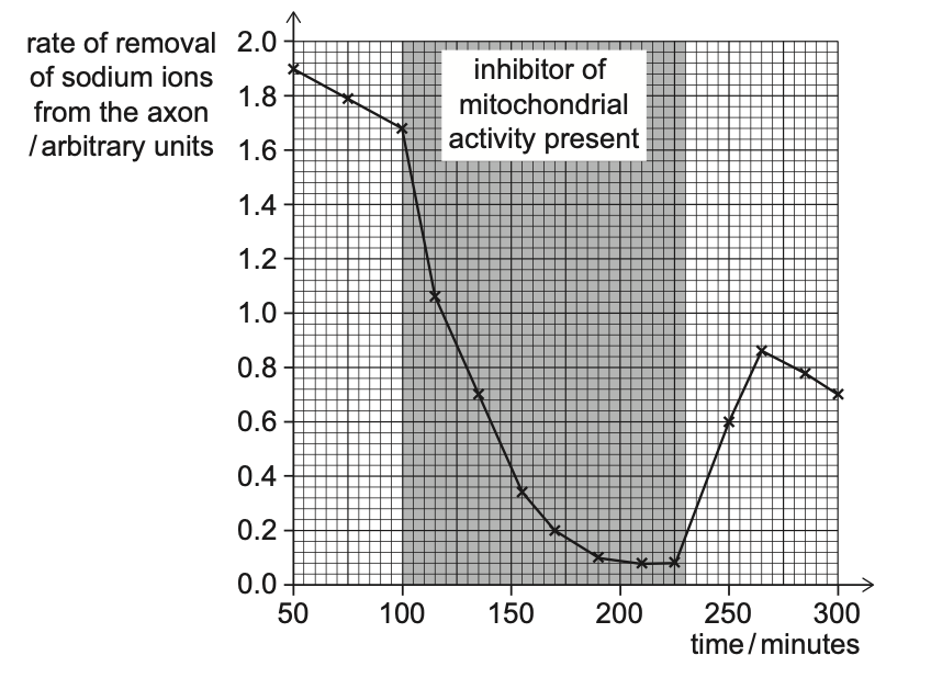 Exam diagram