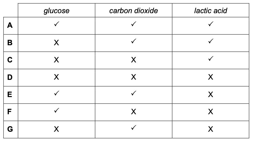 Exam diagram