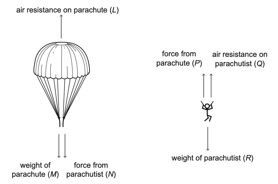 Exam diagram