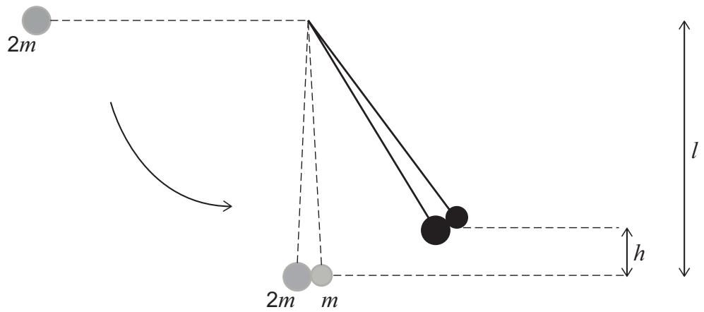 Exam diagram