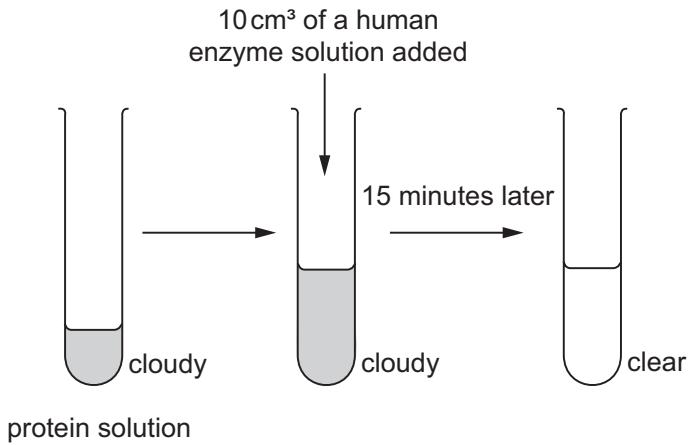 Exam diagram