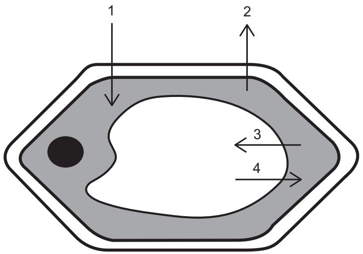 Exam diagram