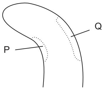 Exam diagram