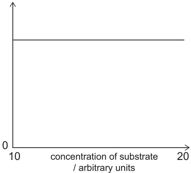Exam diagram