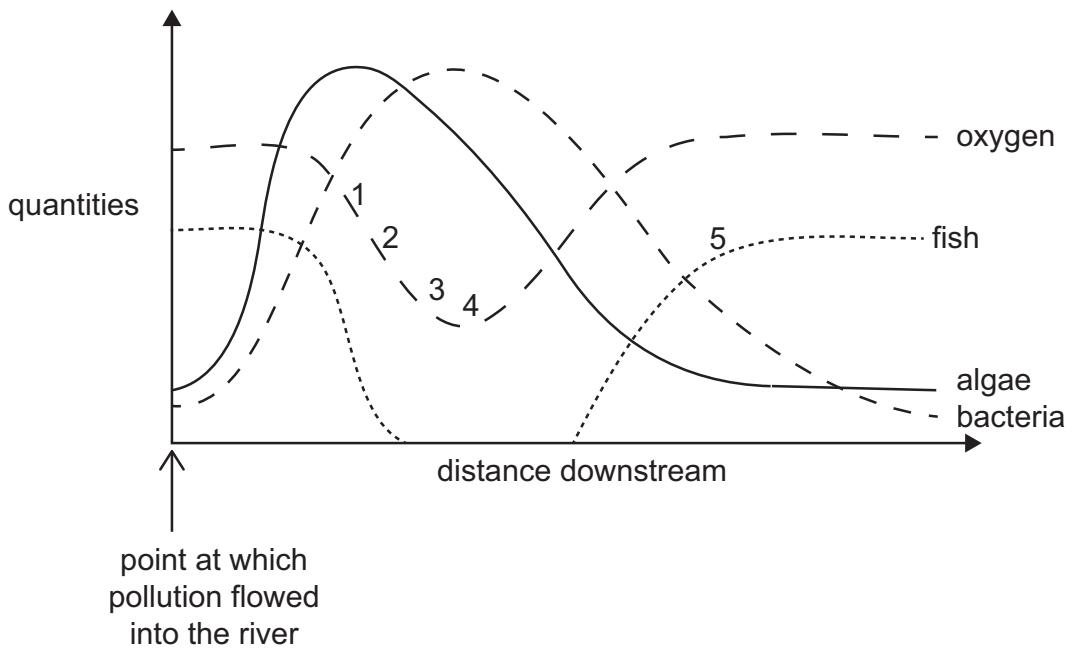 Exam diagram