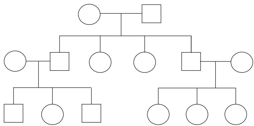 Exam diagram