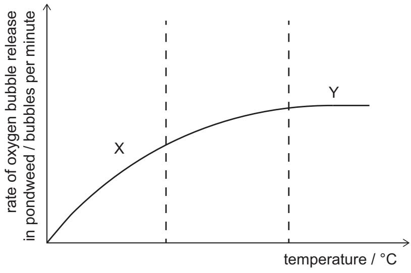 Exam diagram
