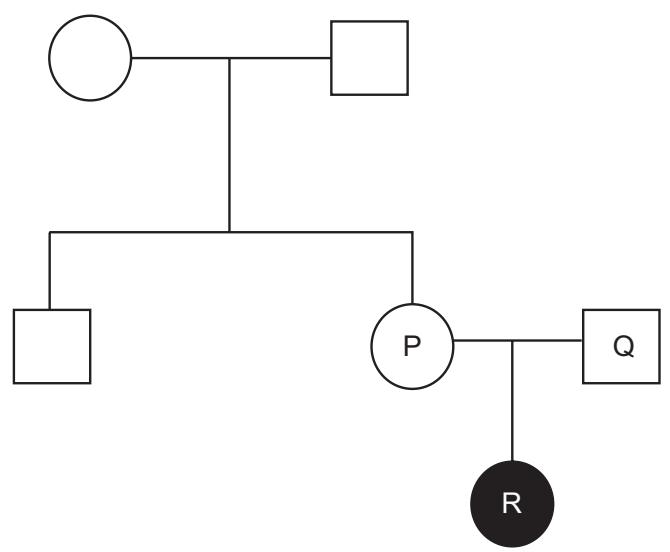 Exam diagram