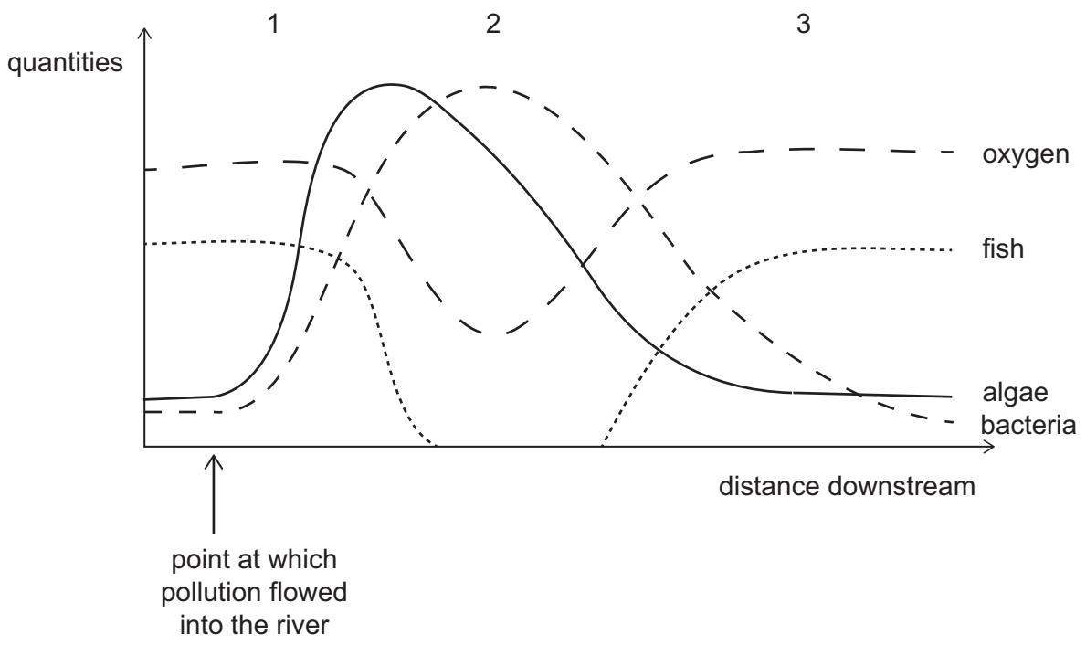 Exam diagram