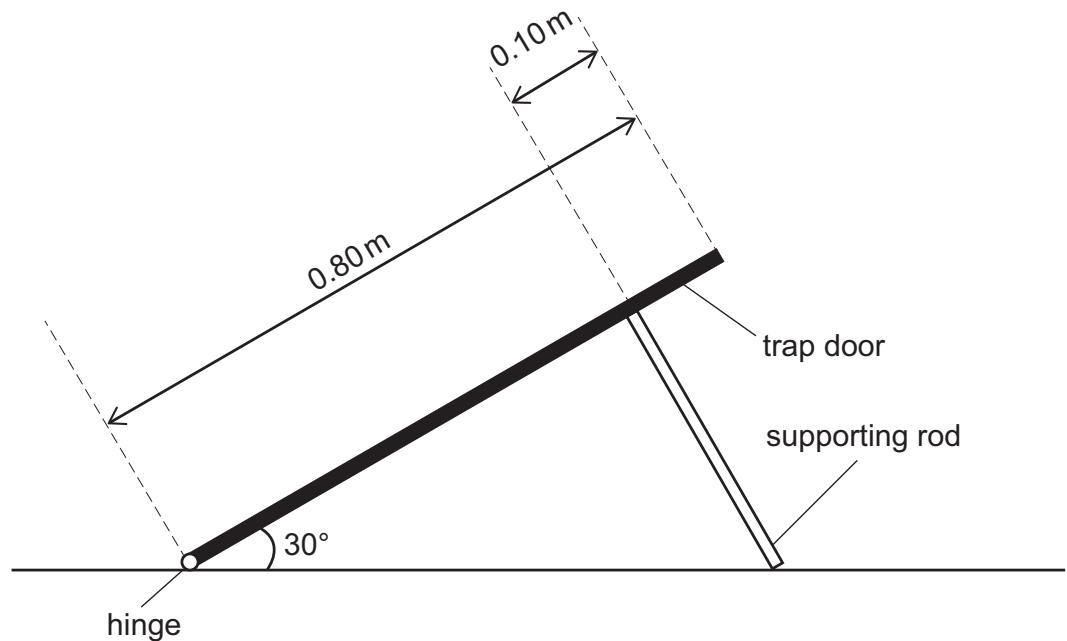 Exam diagram