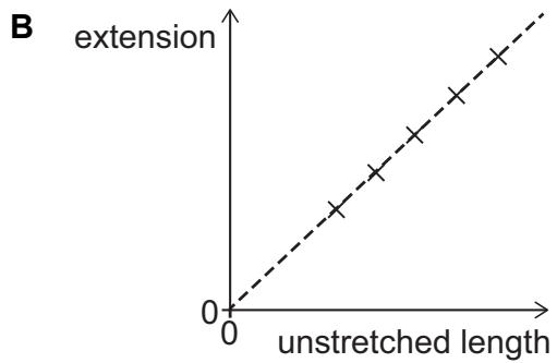 Exam diagram