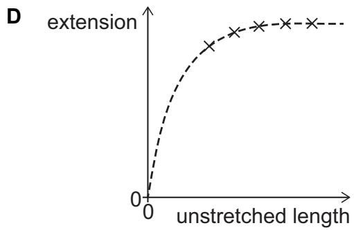 Exam diagram