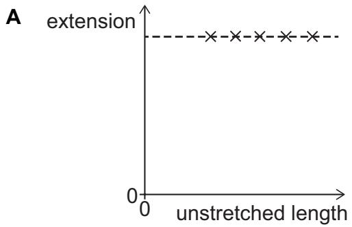 Exam diagram