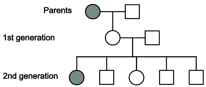 Exam diagram