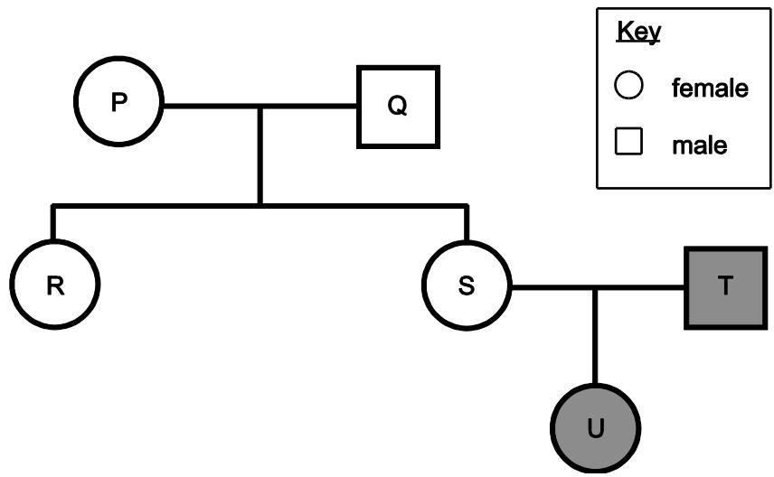 Exam diagram