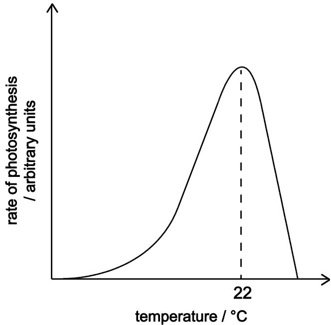 Exam diagram
