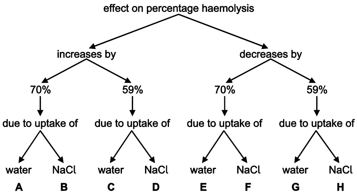 Exam diagram