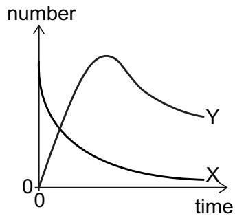 Exam diagram