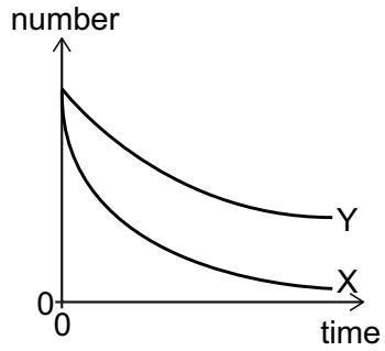 Exam diagram