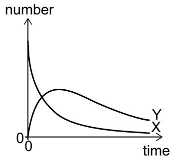 Exam diagram