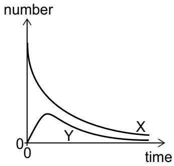 Exam diagram