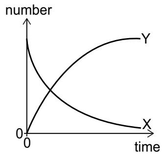 Exam diagram