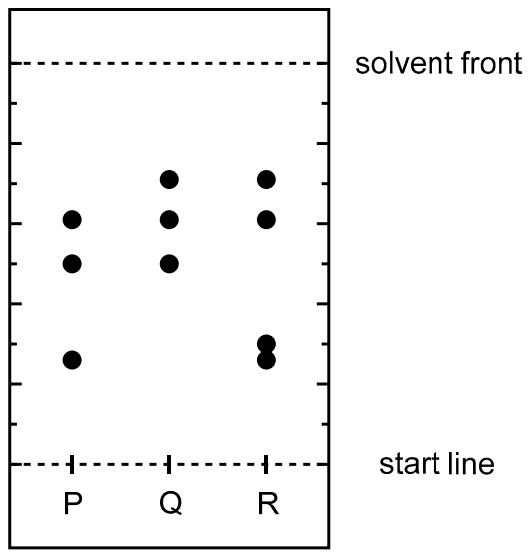 Exam diagram