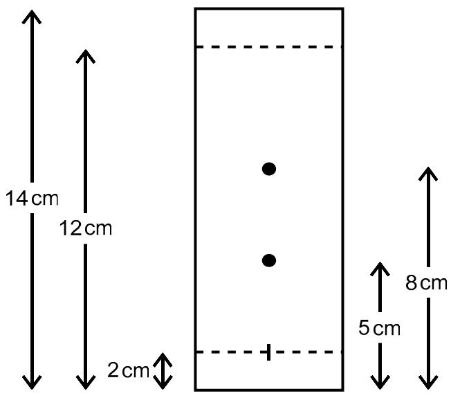Exam diagram
