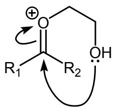 Exam diagram