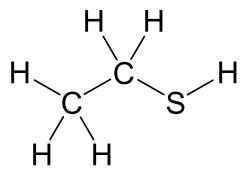 Exam diagram