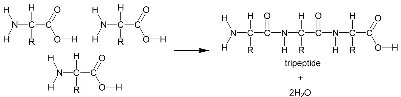 Exam diagram