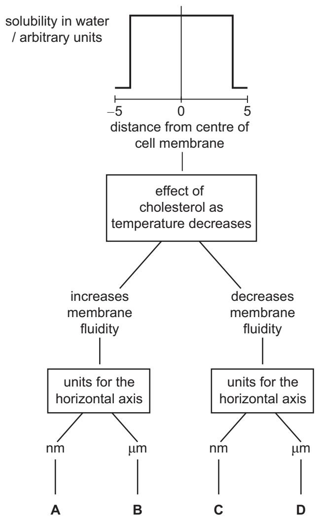 Exam diagram