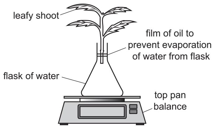 Exam diagram