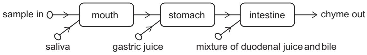 Exam diagram